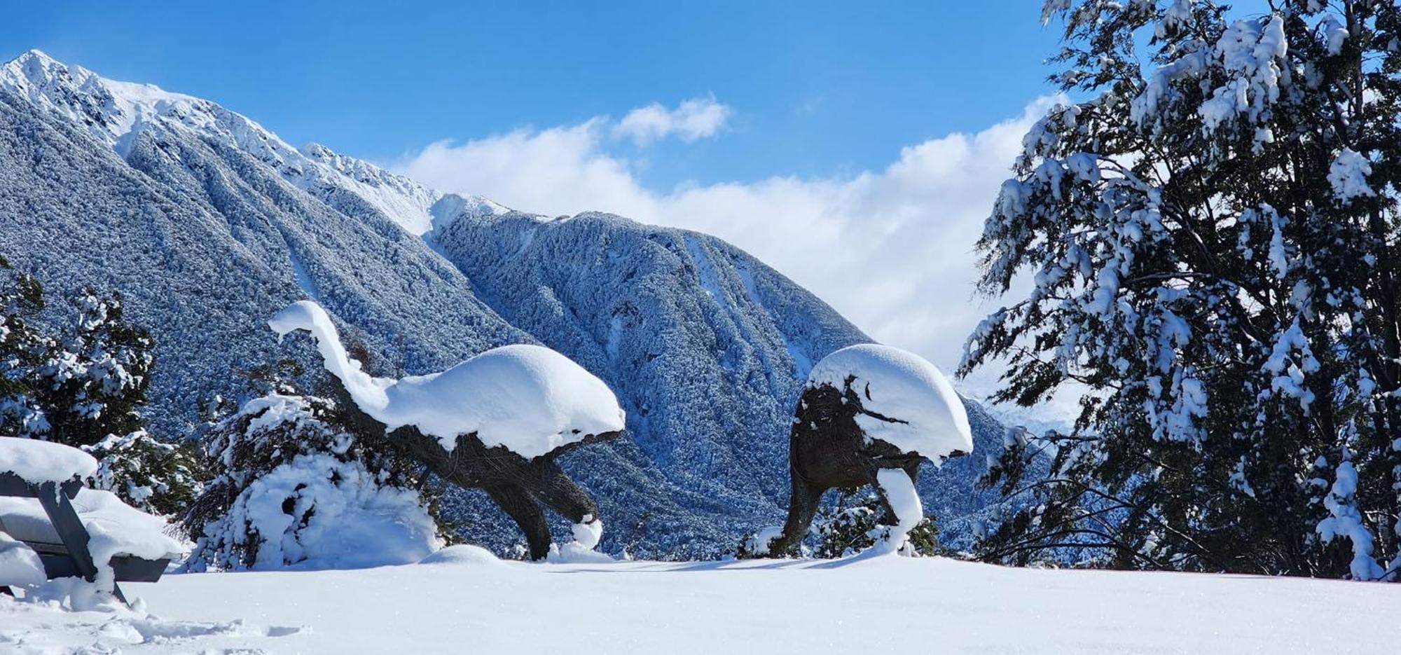 The Bealey Hotel Arthur's Pass Esterno foto